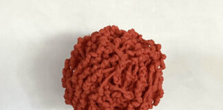 Giorgio Piccaia inaugura a Busto “Natura Est”