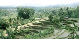 Le Scale dei Giganti