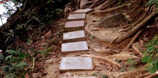 Il Sentiero delle foglie