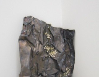 Sophie Ko e il senso delle immagini nella nostra vita