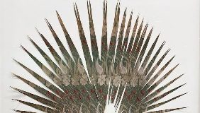 “Notes for dried and living bodies in Corso Umberto” di Luca Trevisani