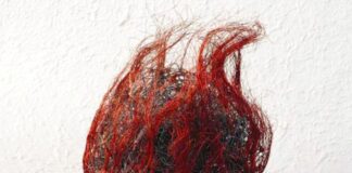 “Ironcraft”, sculture il metallo in mostra a Lecco