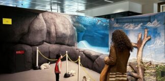 La fotografia contemporanea interroga il paesaggio