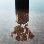 “Women Today. Liberi sguardi sull’universo femminile”