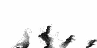 Alla Paula Seegy Gallery espone Mario Trimarchi