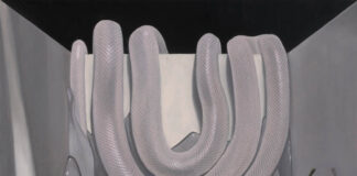 Tredici artisti per“HORIZONS”