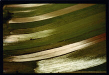 I tempi dello sguardo. 90 anni di fotografia italiana in due atti