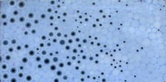 Una raffinata ricerca artistica