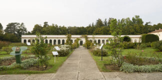 “Artisti d’Italia” a Monza