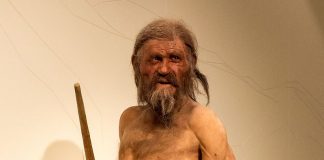 Ötzi: l’uomo venuto dal ghiaccio