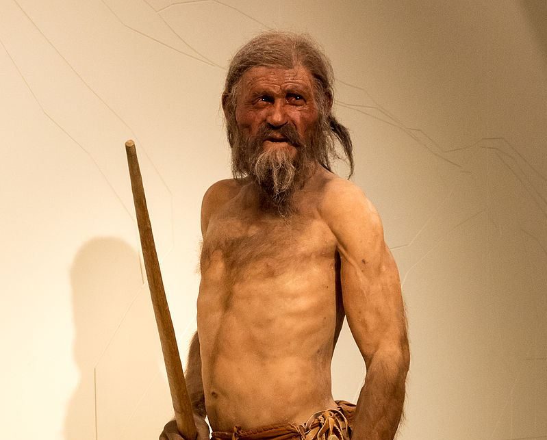 Ötzi: l'uomo venuto dal ghiaccio - ArteVarese.com