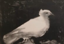 Picasso e Markus Raetz: le suggestioni del segno