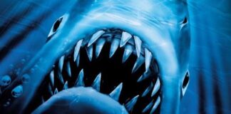 Lo squalo torna a mordere