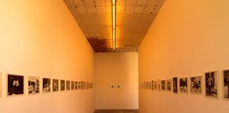 La vulnerabilità come Forza. Michael Stipe