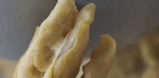 Enkhtur dialoga con le collezioni MAO