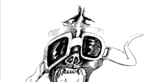 I disegni di Tino Vaglieri: opere dal futuro