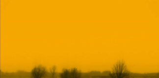 Davide Maria Coltro, “Lo sguardo lucente. Paesaggi mediali ai tempi dell’AI”