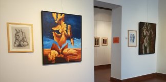 NATURA E METAMORFOSI A PALAZZO CICOGNA