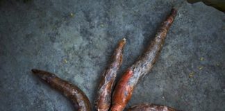 “Hot Spot. Caring for a Burning world” ovvero prendersi cura del mondo