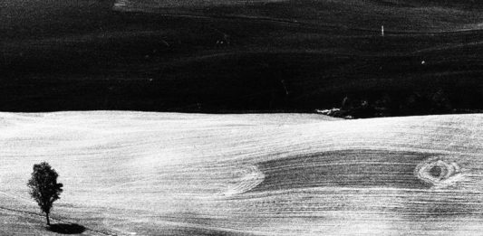 La poetica malinconica di Mario Giacomelli