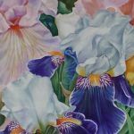 Somma in fiore con Silvano Ferrario