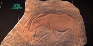 ArteVagando, puntata del 19 ottobre 2023